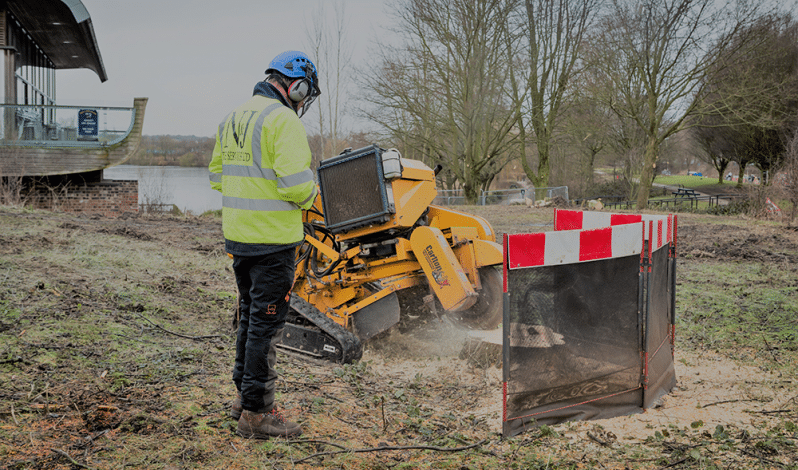 Stump Removal