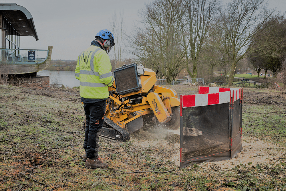 Stump Removal