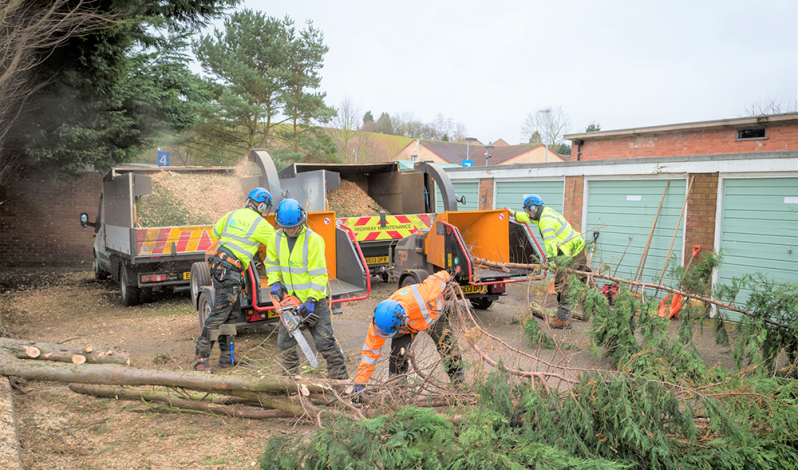 Emergency tree services