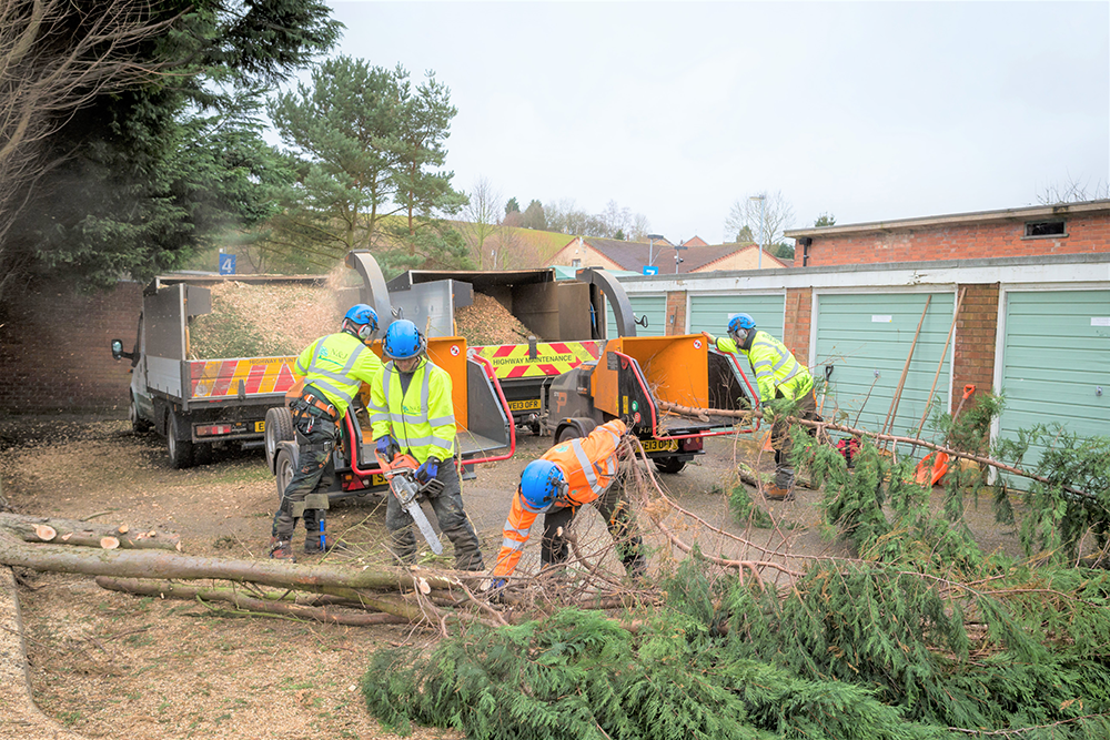 Tree Care - NJ Tree Services