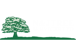 N & J Tree Services