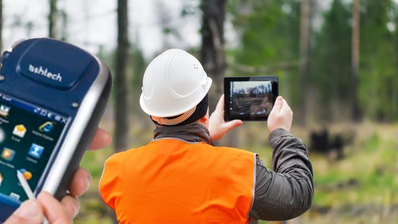 Tree surveys and reports