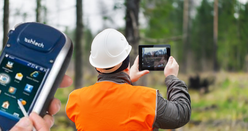 Tree surveys and reports