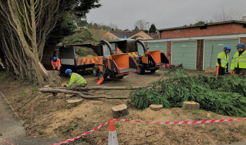 emergency tree response